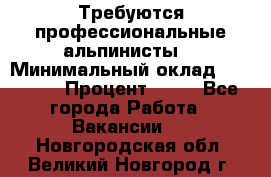 Требуются профессиональные альпинисты. › Минимальный оклад ­ 90 000 › Процент ­ 20 - Все города Работа » Вакансии   . Новгородская обл.,Великий Новгород г.